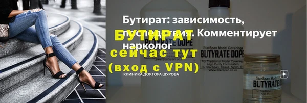 твердый Краснослободск