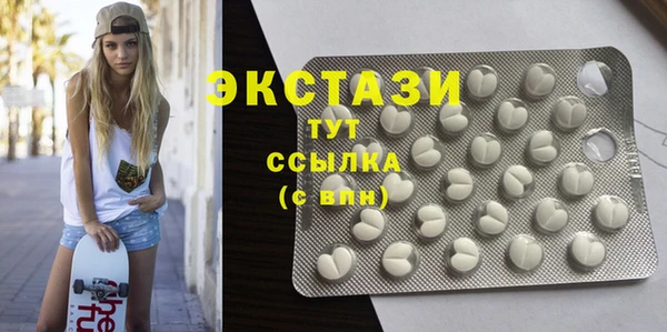 твердый Краснослободск