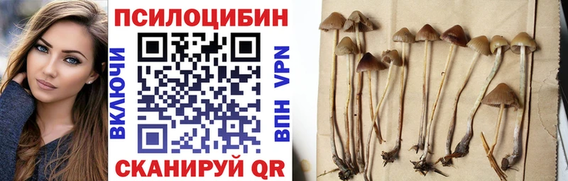 купить   Подпорожье  Галлюциногенные грибы MAGIC MUSHROOMS 