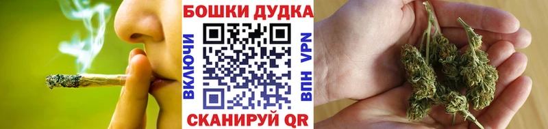 KRAKEN ссылки  Подпорожье  Шишки марихуана Amnesia 